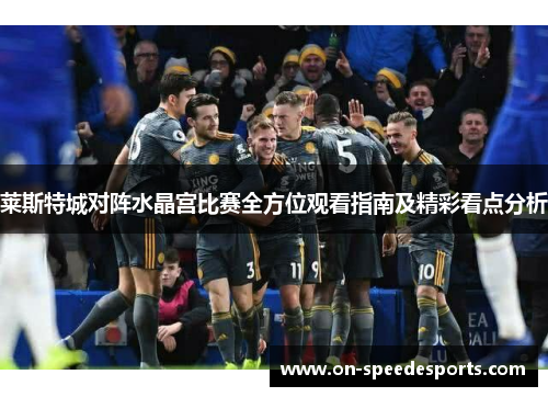 莱斯特城对阵水晶宫比赛全方位观看指南及精彩看点分析