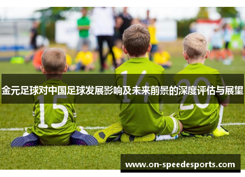 金元足球对中国足球发展影响及未来前景的深度评估与展望